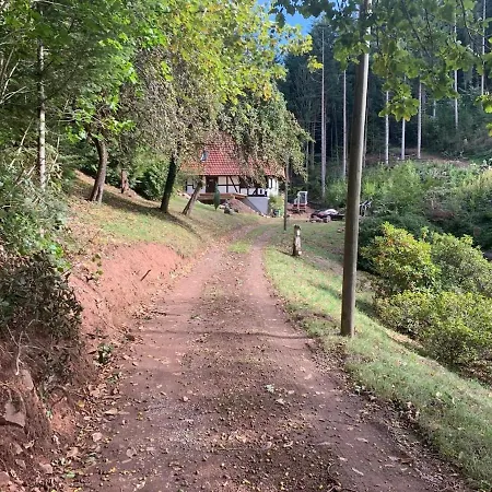 Schwarzwaldhuette Am Bach Mit Sauna Prázdninový dům Nordrach