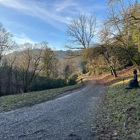 Schwarzwaldhuette Am Bach Mit Sauna