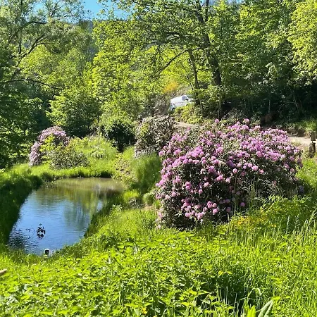 Holiday home Schwarzwaldhuette Am Bach Mit Sauna Nordrach
