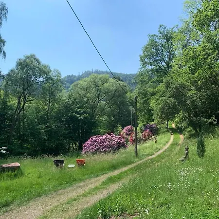 Schwarzwaldhuette Am Bach Mit Sauna