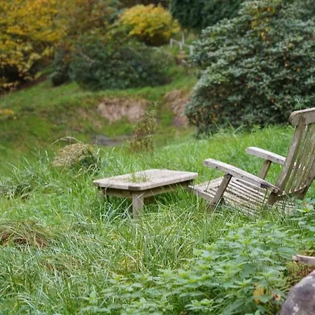 Tatil Evi Schwarzwaldhuette Am Bach Mit Sauna
