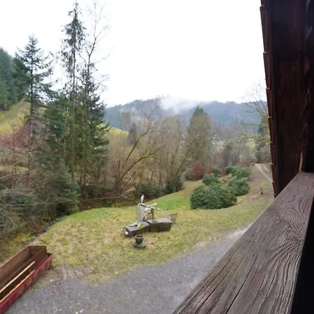 Schwarzwaldhuette Am Bach Mit Sauna *